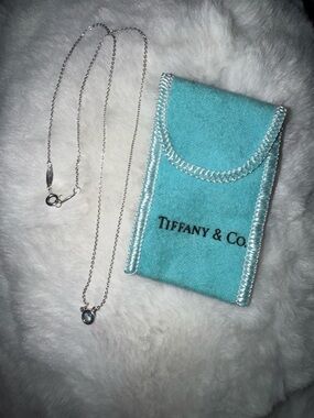 Tiffany & Co. Elsa Peretti Color by the Yard Sterling Silver Necklace